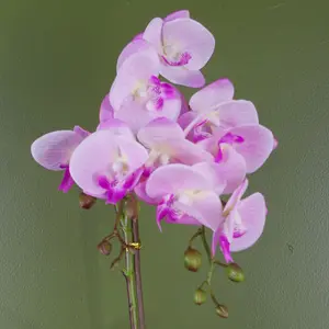 50cm Phalaenopsis Orchid Artificial - Light Pink Silver