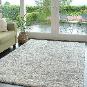 Super Soft Mottled Tonal Silver & Grey Shaggy Area Rug 160x230cm