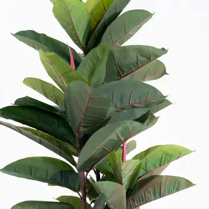 Blooming Artificial - 145cm / 4.75ft Fake Rubber Tree