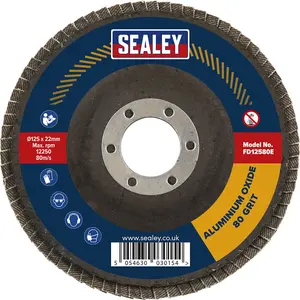 High-Performance 125mm Aluminium Oxide Flap Disc with 22mm Bore for Surface Preparation