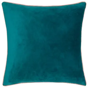 Paoletti Meridian Velvet Polyester Filled Cushion