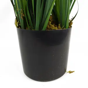 Artificial Grass Plant Foliage Lemongrass Plant 60cm Plants