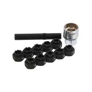 Mercedes Benz Locking Wheel Nut Remover Installer 12pcs Master Kit (CT4805)