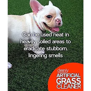 Cleenly Artificial Grass Cleaner for Dogs - Eliminates Pet Urine Stains and Odours - Fresh Bouquet Fragrance (20 Litres)