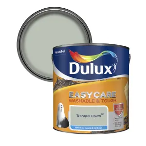 Easycare Washable & Tough Tranquil dawn Emulsion paint