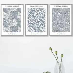 Set of 3 Framed Blue William Morris Vintage Floral / 42x59cm (A2) / Light Grey