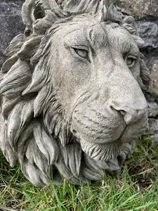 Large Lion Head Bust Hanging Plaque Stone African Animal Outdoor Garden Ornament