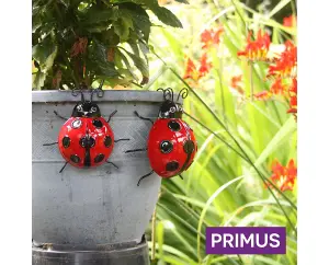 Primus Medium Metal Ladybird Pot Hanger