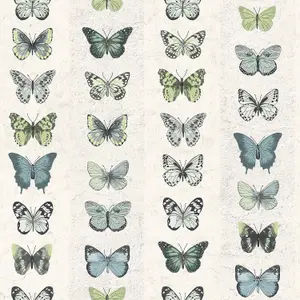 Galerie Organic Textures Blue Beige Green Jewel Butterflies Stripe Textured Wallpaper