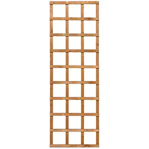 6x2 Heavy Duty Trellis Dip Treated (Pack of 3) - L61 x W915 x H183 cm