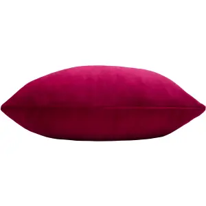 Paoletti Sunningdale Rectangular Velvet Feather Filled Cushion