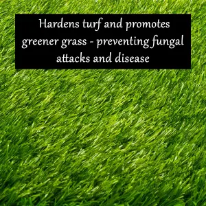 Homefront Liquid Iron Sulphate Greens Grass Hardens Turf and Helps to Prevent Lawn Disease Easy to Use Formula 15L