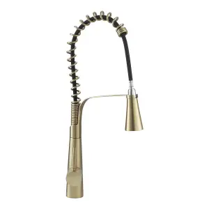 Pre-rinse Pull Down Gold Kitchen Faucet 304 Stainless Steel and Brass