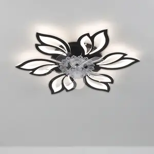 Armentha 65cm Ceiling Fan with LED Lights Black