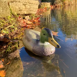 Mallard Duck Hunting Shooting Floating Decoy Pond Decoration Large (Set of 3)