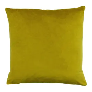 Paoletti Palm Grove Velvet Jacquard Feather Rich Cushion