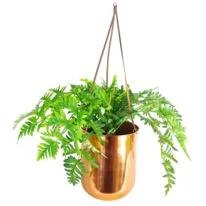 Hanging Copper Planter with Artificial Evergreen Fern Plant 60cm by Leaf Design Botanik