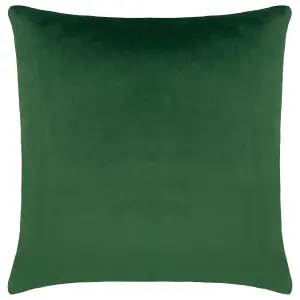 Paoletti Platalea Botanical Piped Feather Filled Cushion