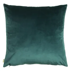 Evans Lichfield Midnight Garden Floral Polyester Filled Cushion