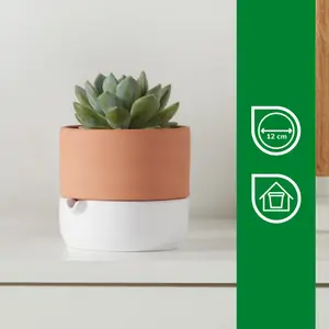 Verve Terracotta & white Clay Plant pot (Dia) 16.1cm, (H)14.5cm, 600ml