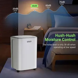 12L/24H Low Energy Compressor Dehumidifiers for Home - Quiet Operation - Automatic Humidity Sensor & Digital Display