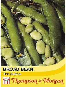 Broad Bean The Sutton 1 Seed Packet (30 Seeds)