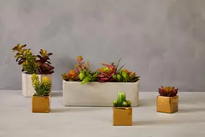 Mini Succulents Fiori with Gold Pot - Set of 3 Artificial Plant Foliage