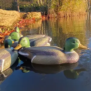 Mallard Duck Hunting Shooting Floating Decoy Pond Decoration Large (Set of 6)