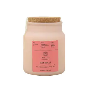 Scented Candle 152g Apothecary Jar PASSION Iris Cashmere Ylang-ylang Fragrance