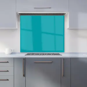 Persian Green Premium Glass Kitchen Splashback W900mm x H750mm