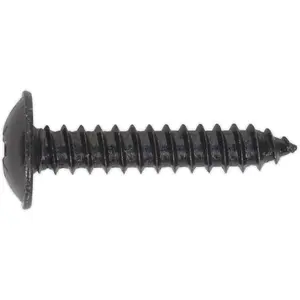 100 Pack of 4.8 x 25mm Black Self Tapping Screws with Flanged Pozi Head