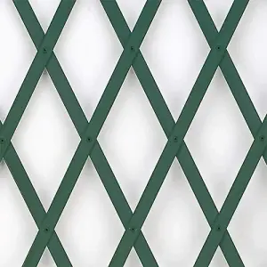 Expanding Garden Trellis Plastic Green