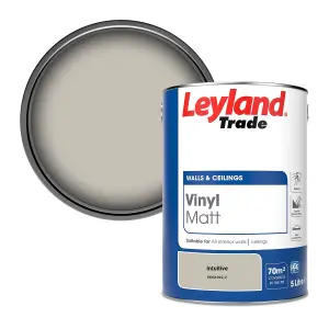 Leyland Trade Vinyl Matt Walls & Ceilings Emulsion Paint Intuitive (PPG1022-2) 5L