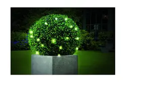 Gardman Pre-lit Topiary Ball Plus 20 Battery Operated LED Lights