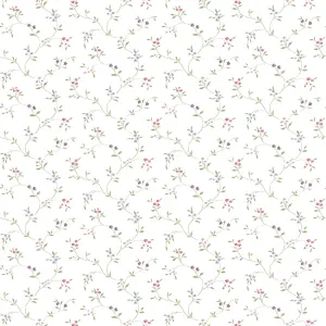 Galerie Pretty Prints Pink Small Floral Trail Wallpaper Roll