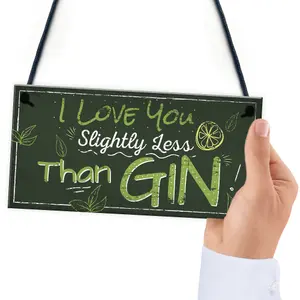 Red Ocean Novelty GIN Friendship Hanging Plaque