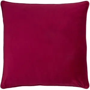 Paoletti Hortus Embroidered Velvet Polyester Filled Cushion