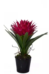 Pink Tropical Plant with Black Ceramic Pot Artificial Plant Foliage