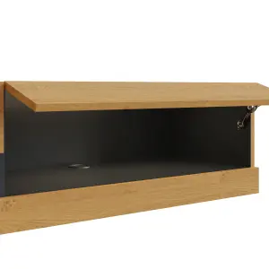 GFW Leon 120cm Wall TV Unit with LED Oak