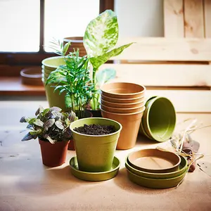 Garden Bamboo Seed Trays Pots & Saucers Sage Green Indoor Outdoor Compostable Bamboo Fibre (x5)