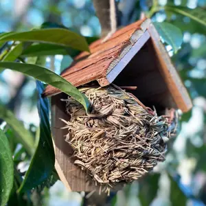 Woven House Martin Bird Nester with Roof