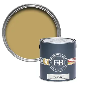 Farrow & Ball Dead Flat Mixed Colour 240 Cats Paw 2.5 Litre