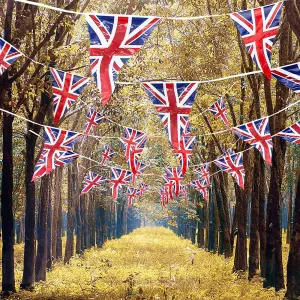 20m 65ft Union Jack Bunting Banner 50 Triangle Flags Sports Royal Events Street Party GB Support