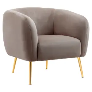 Interiors by Premier Dark Beige Velvet Arm Chair, Tufted Velvet Upholstered Accent Chair, Comfortable Armchair for Home