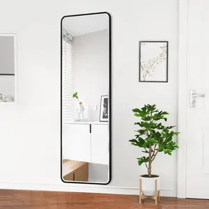 Kallas Metal Flat Wall Mirror Matte Black/bevel edge