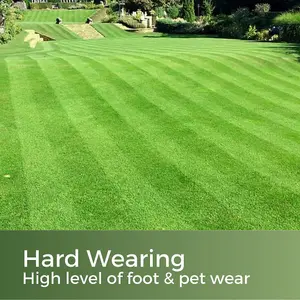 Premium Hard Wearing Grass Seed - 15-45m² Lawn Seed