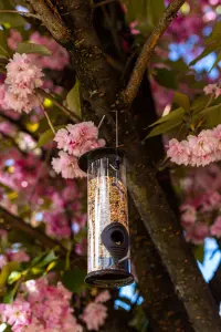 Nature's Market Wild Bird Hammertone Seed Feeder BF040