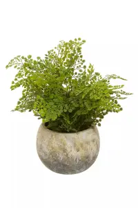 Fiori Fern With Cement Pot Artificial Plant Foliage