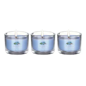 Yankee Candle 3 Pack Filled Votives - Majestic Mount Fuji