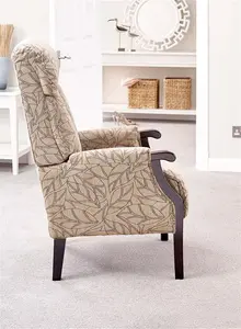 Careco, Aster Fireside Chair – Comfortable Design, Soft Upholstery, Ideal For Home Or Care Environments